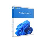 Windows 11 Pro