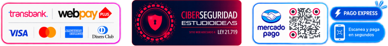 ciberseguridad-estudioideas